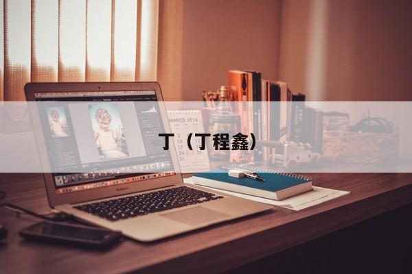 丁（丁程鑫）