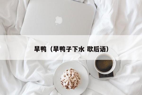旱鸭（旱鸭子下水 歇后语）