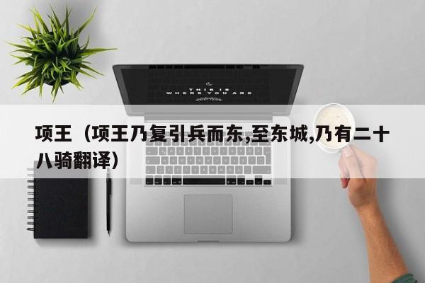 项王（项王乃复引兵而东,至东城,乃有二十八骑翻译）