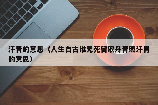 汗青的意思（人生自古谁无死留取丹青照汗青的意思）