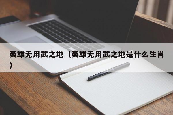英雄无用武之地（英雄无用武之地是什么生肖）