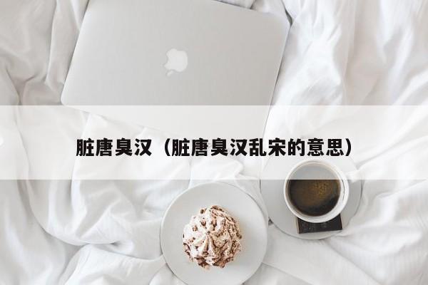 脏唐臭汉（脏唐臭汉乱宋的意思）