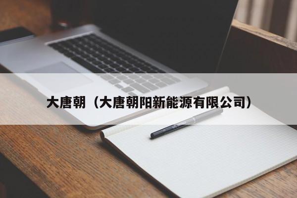 大唐朝（大唐朝阳新能源有限公司）