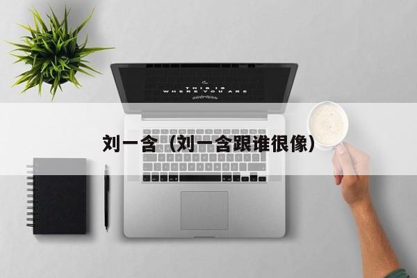 刘一含（刘一含跟谁很像）