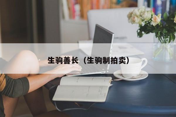 生驹善长（生驹制拍卖）