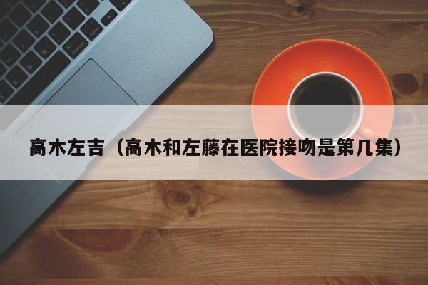 高木左吉（高木和左藤在医院接吻是第几集）