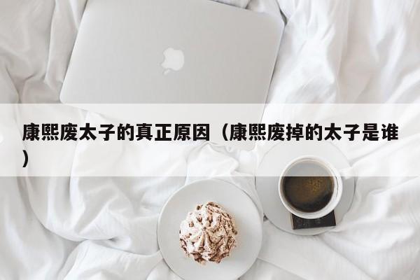 康熙废太子的真正原因（康熙废掉的太子是谁）