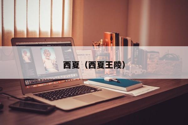 西夏（西夏王陵）