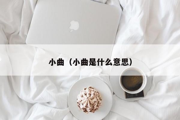 小曲(小曲是什么意思)