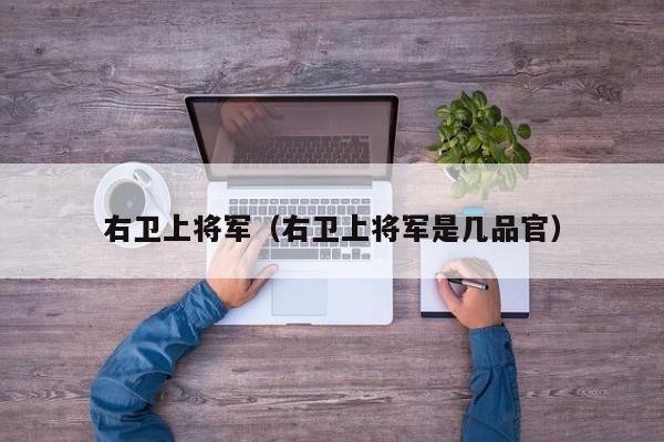 右卫上将军(右卫上将军是几品官)