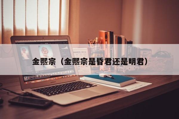 金熙宗（金熙宗是昏君还是明君）